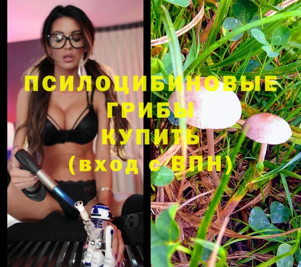 мескалин Баксан